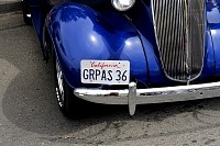DSC_7875.jpg