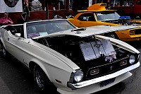DSC_7878.jpg