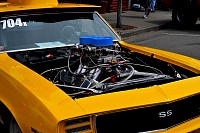 DSC_7884.jpg