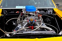 DSC_7886.jpg