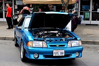 DSC_7935.jpg