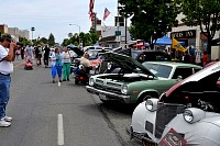DSC_7971.jpg