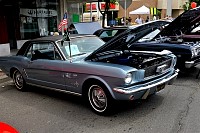 DSC_8010.jpg