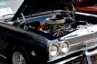 DSC_8011.jpg
