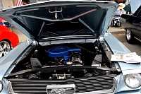 DSC_8016.jpg