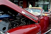 DSC_8025.jpg
