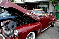 DSC_8028.jpg