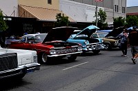 DSC_8141.jpg