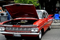 DSC_8142.jpg