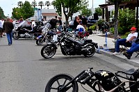 DSC_8155.jpg