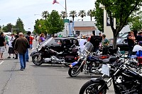 DSC_8165.jpg