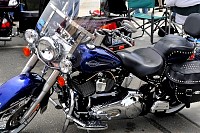 DSC_8174.jpg