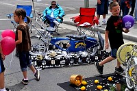 DSC_8206.jpg