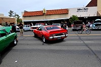 DSC_8285.jpg