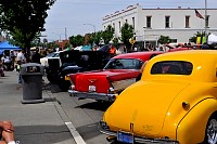 DSC_8292.jpg