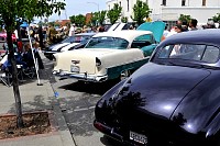 DSC_8311.jpg