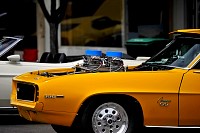 DSC_8375.jpg