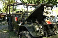 DSC_4604.jpg