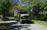 DSC_4610.jpg