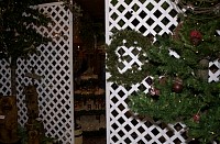 DSC_6229.jpg