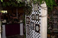 DSC_6230.jpg