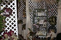 DSC_6231.jpg