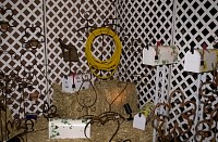 DSC_6251.jpg