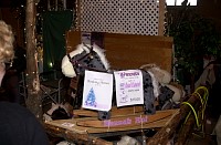 DSC_6264.jpg