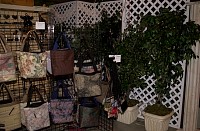 DSC_6280.jpg