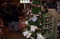 DSC_6283.jpg