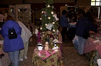 DSC_6284.jpg