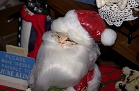DSC_6301.jpg