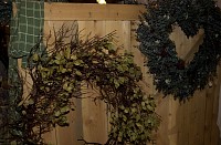 DSC_6304.jpg