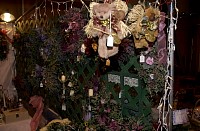 DSC_6310.jpg