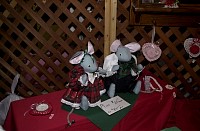 DSC_6347.jpg