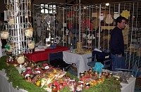 DSC_6349.jpg