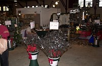 DSC_6354.jpg