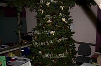 DSC_6356.jpg