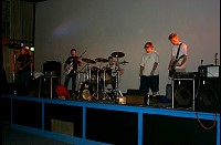 rat9816.jpg