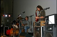 rat982.jpg