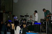rat9834.jpg