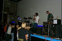 rat9836.jpg