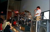 rat987.jpg