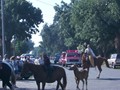 P0004502