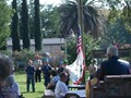 P0004533