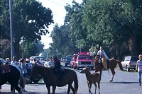 P0004502.jpg