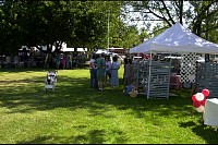 DSC_4544.jpg
