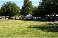 DSC_4546.jpg