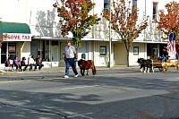 DSC_6146.jpg