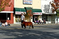 DSC_6149.jpg